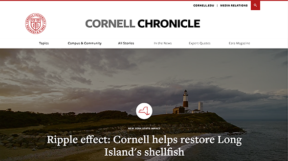 Screenshot of Cornell Chronicle Shellfish Story